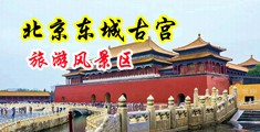 操逼黄片视频啊啊啊中国北京-东城古宫旅游风景区